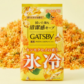 갸스비 바디 페이퍼 데오드란트 쿨 시트 개츠비 금목서, 300g, 1개