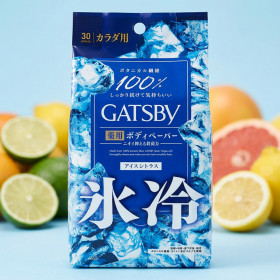 갸스비 바디 페이퍼 데오드란트 쿨 시트 개츠비 아이스 시트러스, 300g, 1개