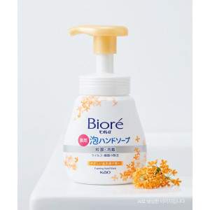 비오레 거품 핸드소프 핸드워시 금목서 본품, 240ml, 1개