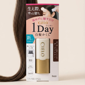 호유 시에로 cielo 원데이 새치 커버 스틱 9ml, 다크 브라운, 1개