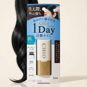 호유 시에로 cielo 원데이 새치 커버 스틱 9ml, 내츄럴 블랙, 1개