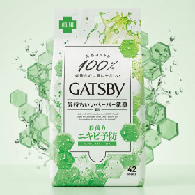 갸스비 바디 페이퍼 데오드란트 쿨 시트 개츠비 트러블 케어, 300g, 1개
